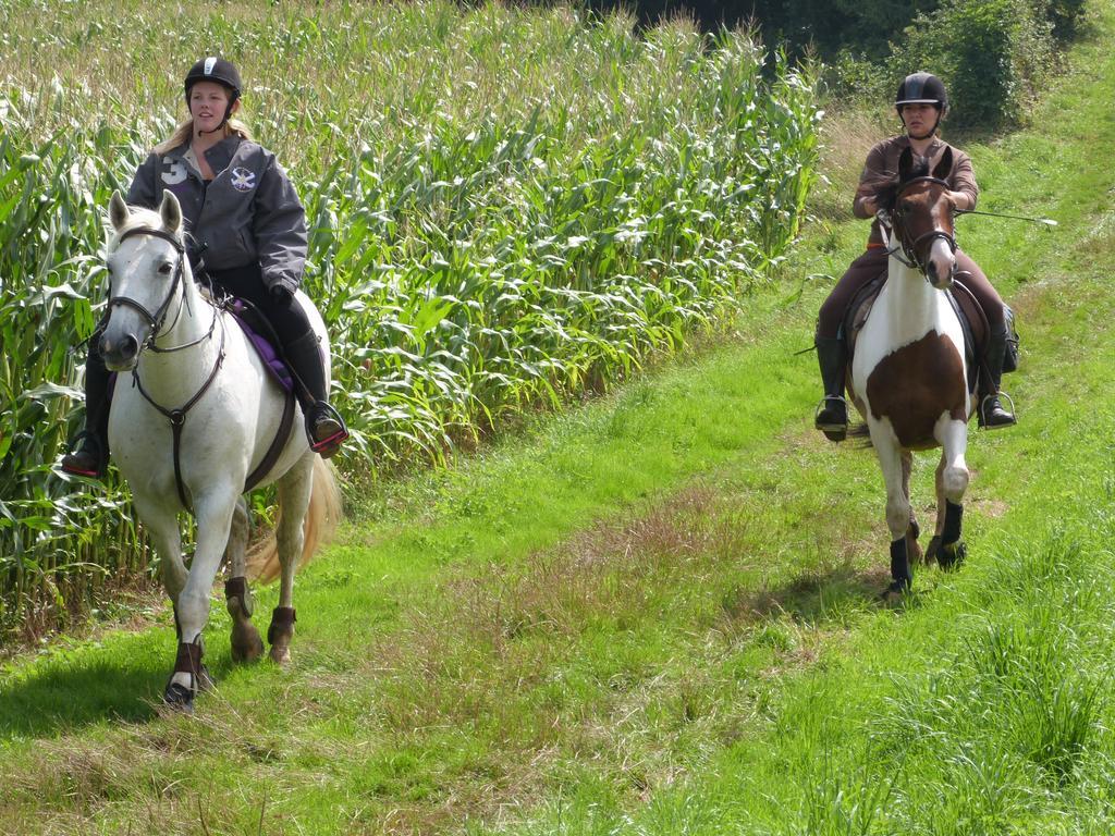 Gite Et Relais Equestre De Marie Tours-en-Vimeu Екстериор снимка