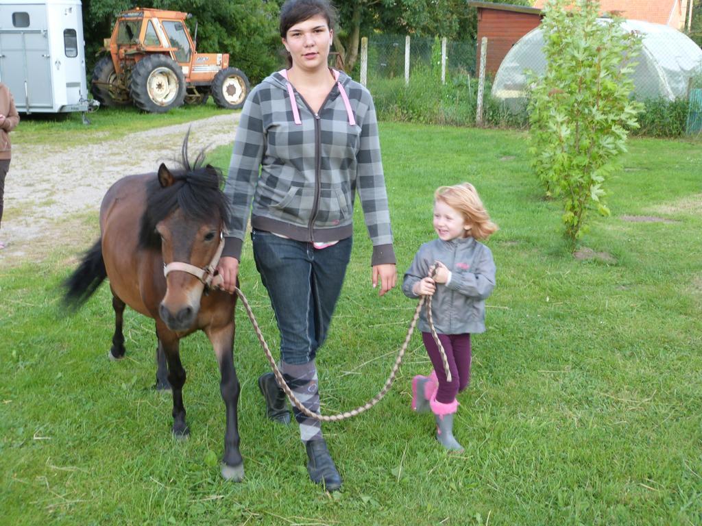 Gite Et Relais Equestre De Marie Tours-en-Vimeu Екстериор снимка