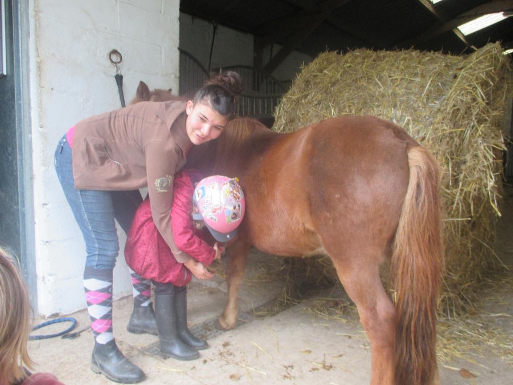 Gite Et Relais Equestre De Marie Tours-en-Vimeu Екстериор снимка