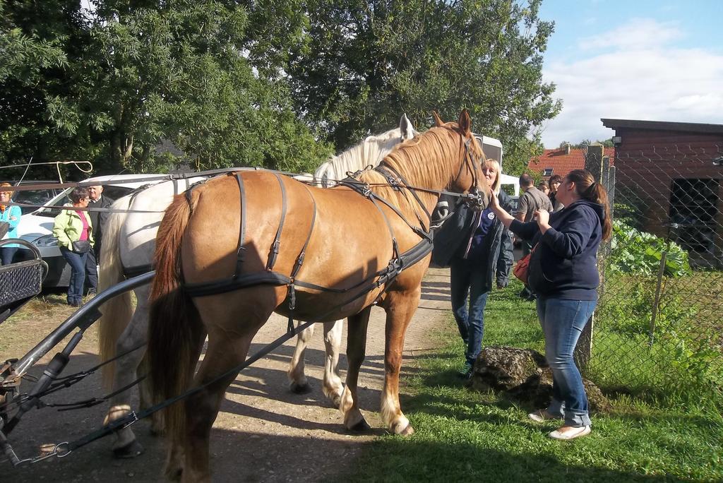 Gite Et Relais Equestre De Marie Tours-en-Vimeu Стая снимка