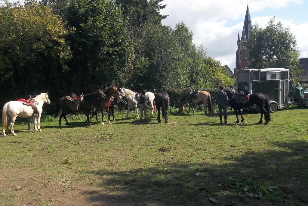 Gite Et Relais Equestre De Marie Tours-en-Vimeu Екстериор снимка