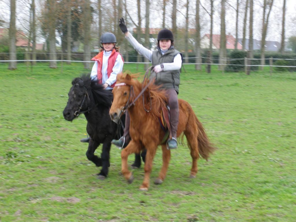 Gite Et Relais Equestre De Marie Tours-en-Vimeu Стая снимка