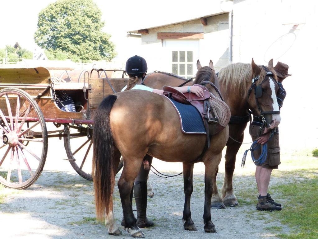 Gite Et Relais Equestre De Marie Tours-en-Vimeu Стая снимка